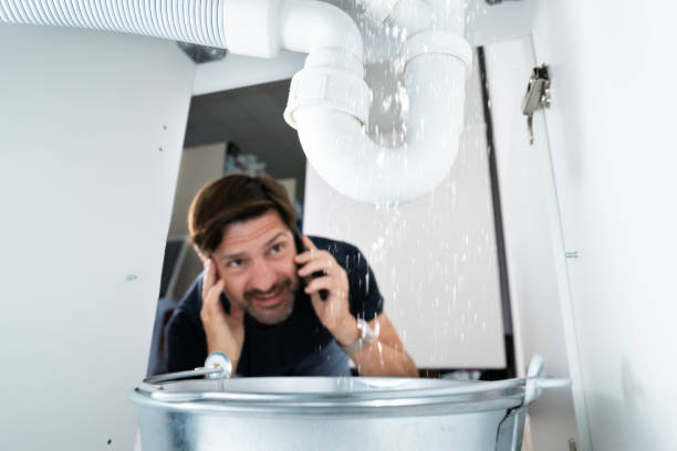 Best Plumbing Inspection Services  in Zellwood, FL